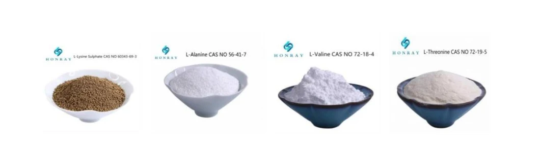 Food Additives L-Cysteine Powder CAS 52-90-4 Amino Acid